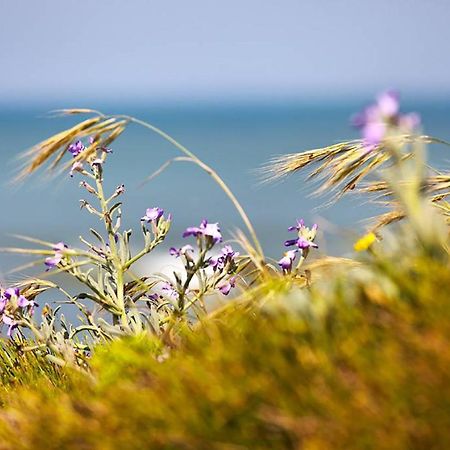 Вилла Ferme Marine Pour 4 - Piscine Chauffee Бретиньоль-сюр-Мер Экстерьер фото